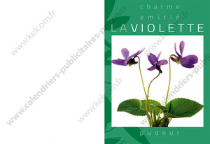 Calendriers de poches publicitaires fleurs, Floralis 4