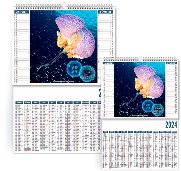 Calendrier publicitaire 2024 - 2 en 1 l'année des méduses - 330 x 470 mm