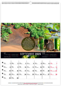 Calendrier mural mayotte 2025 8