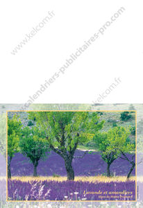 Calendriers publicitaires de poches France, Paysages de France 1
