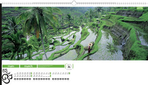 Calendrier publicitaire grand angle, Panorama 1