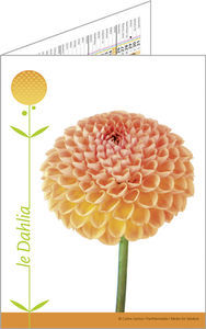 Calendriers de poches publicitaires fleurs, Floralis 2