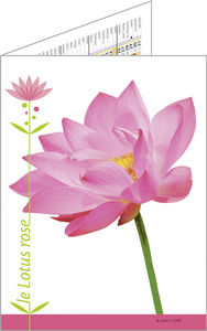 Calendriers de poches publicitaires fleurs, Floralis