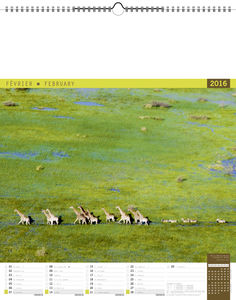 Calendriers illustrés publicitaires, Autour du Monde 2