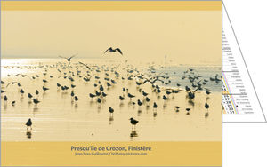 Calendriers publicitaires de poches France, Paysages de France