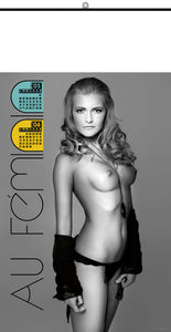 Calendriers publicitaires femmes nues, Au feminin 3