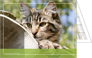 Calendriers publicitaires poches animaux, Nos amis 1