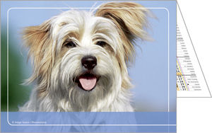 Calendriers publicitaires poches animaux, Nos amis 2