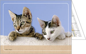 Calendriers publicitaires poches animaux, Nos amis 3