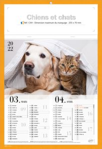 Calendriers publicitaires chats, Chiens et Chats 1