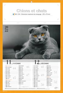 Calendriers publicitaires chats, Chiens et Chats 5