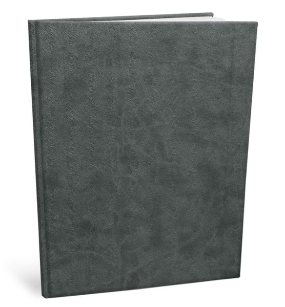 agendas publicitaires entreprise , le Vivel