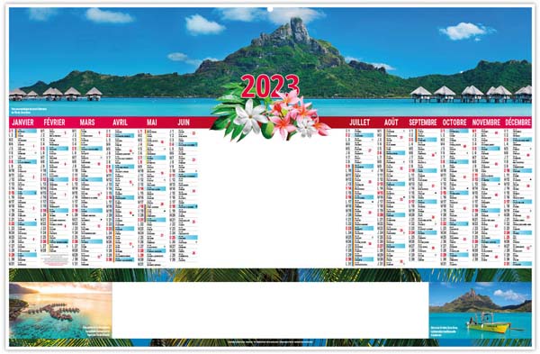 Bancaire Effaçable Personnalisable Tropic - 470X290