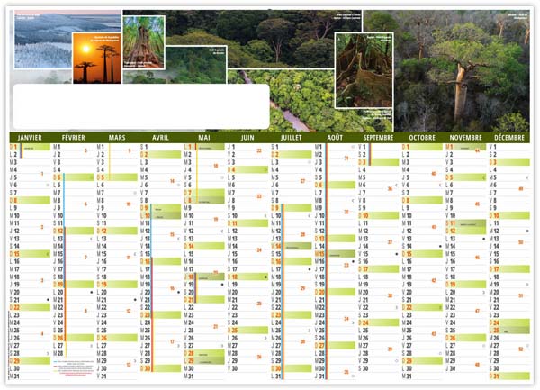 Calendrier Bancaire Effaçable Personnalisable Planning Forêts du Monde - 700X500