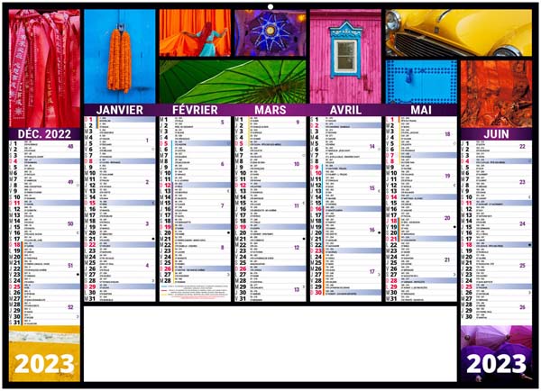 Calendrier bancaire personnalisable - Caméléon - 290 x 210