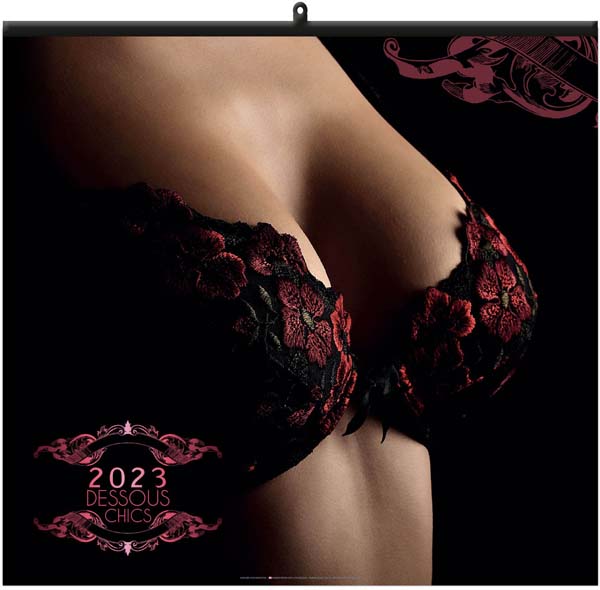 Calendrier illustré personnalisé - Dessous chics - 330 x 315