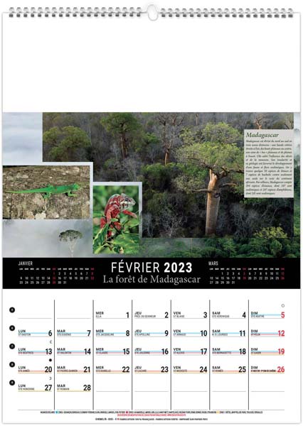 Calendrier Mural personnalisé Forêts du Monde - 240X330
