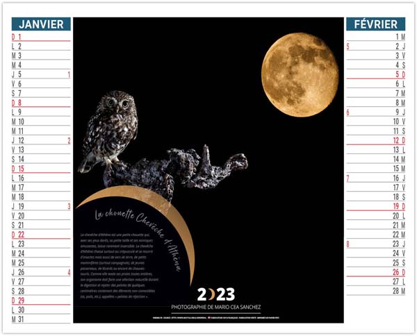 Calendrier Personnalisable 2 en 1 Faune au Clair de Lune - 330X470
