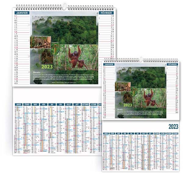 Calendrier Personnalisable 2 en 1 Forêts du Monde - 330X470