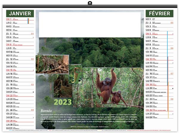Calendrier Personnalisable Illustré Éco Forêts du Monde - 480X350