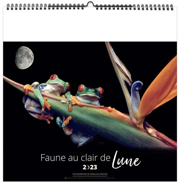 Calendrier Personnalisable Illustré Faune au Clair de Lune - 330X330