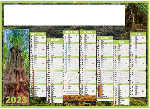 Calendrier Personnalisé Canopée - 270X208