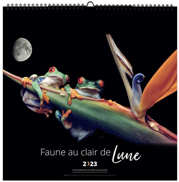 Calendrier Personnalisé Clair de Lune - 470X290