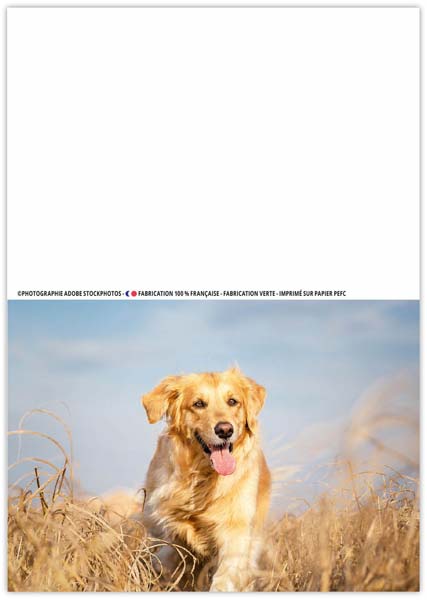 Calendrier de poche personnalisé - Fidele - 110 x 156