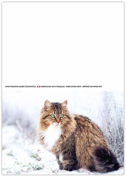 Calendrier de poche publicitaire - Felix - 110 x 156