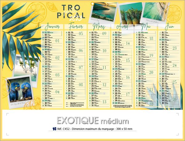 Calendrier publicitaire nature, Medium Exotique