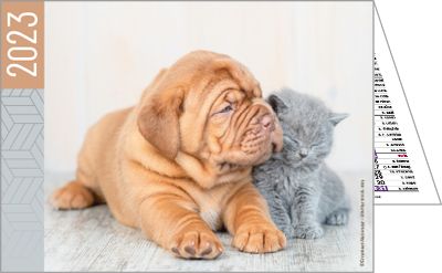 Calendriers publicitaires poches animaux, Nos amis