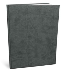 agendas publicitaires entreprise , le Vivel