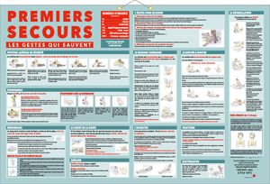 Calendrier grand format, Maxi Banque 6