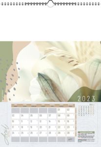 Calendrier Illustré Publicitaire - Survol 2