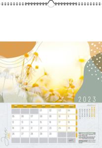 Calendrier Illustré Publicitaire - Survol 4