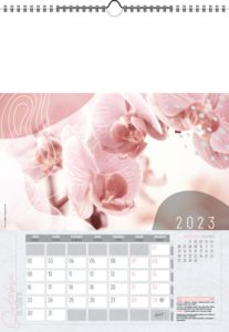 Calendrier Illustré Publicitaire - Survol 8