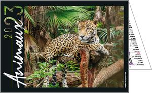 Calendrier publicitaire de poches, Nos animaux Préférés 2