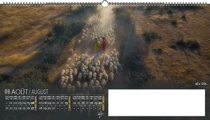 Calendrier publicitaire feuillets grand angle, Grand-angle 6