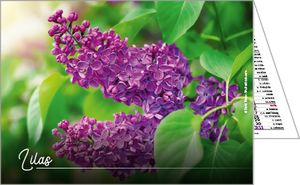 Calendriers de poches publicitaires fleurs, Floralis 1