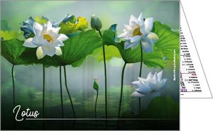 Calendriers de poches publicitaires fleurs, Floralis 3
