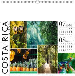 Calendriers publicitaire illustré - Colors 2
