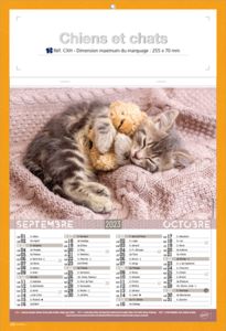 Calendriers publicitaires chats, Chiens et Chats 3