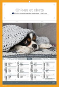 Calendriers publicitaires chats, Chiens et Chats 4