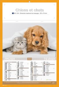 Calendriers publicitaires chats, Chiens et Chats 5