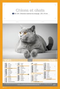 Calendriers publicitaires chats, Chiens et Chats