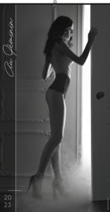 Calendriers publicitaires femmes nues, Au feminin 5