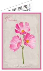 Calendriers publicitaires pharmacie, Botanicus 1