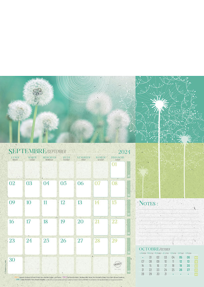 Calendrier mensuel Fleurs avec feuillets détachables 13 x 23 cm