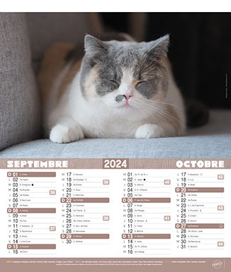 CALENDRIER BLOC NOTES CHATS - CALENDRIER - La Preface