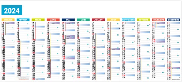 Planning Géant Effaçable Souple XXL 2024 - Le Calendrier Pub Marquage 1  couleur